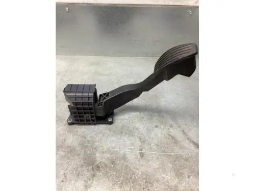 Gaspedaalpositie Sensor-8069355