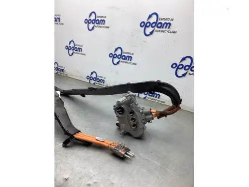 HV kabel (hoog voltage)-8305026