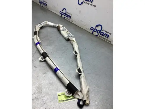 Airbag hemel rechts-8294973