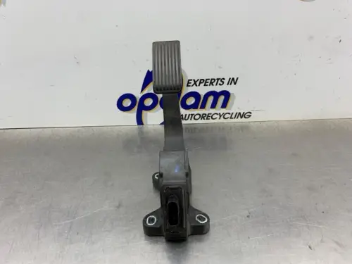 Gaspedaal-8352035