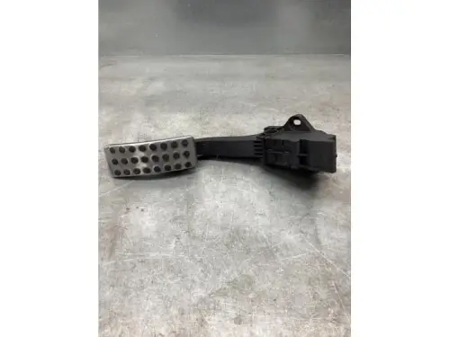 Gaspedaalpositie Sensor-8055168