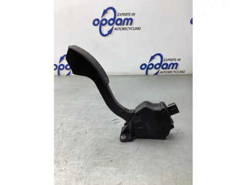 Gaspedaalpositie Sensor-7924816