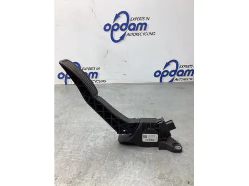 Gaspedaalpositie Sensor-8093933