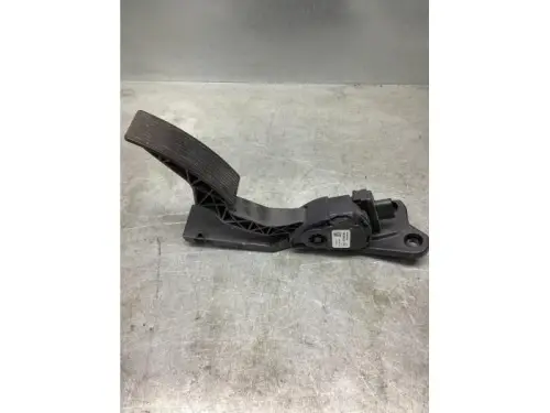 Gaspedaalpositie Sensor-8115269