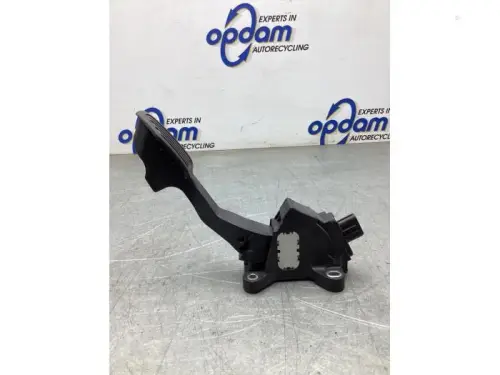Gaspedaalpositie Sensor-8079939