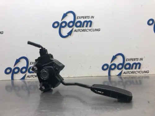 Gaspedaal-8084506