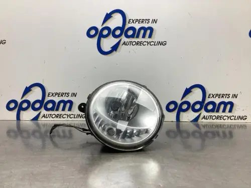 Mistlamp rechts-voor-8080470