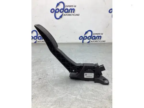 Gaspedaalpositie Sensor-8110718