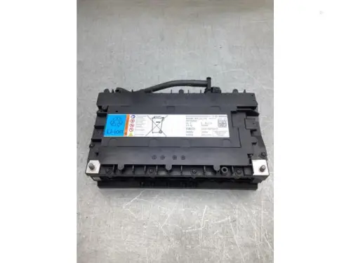 Accu (Hybride)-8110718