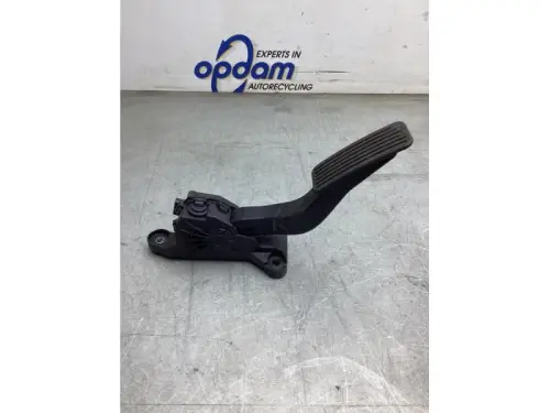 Gaspedaalpositie Sensor-8044524
