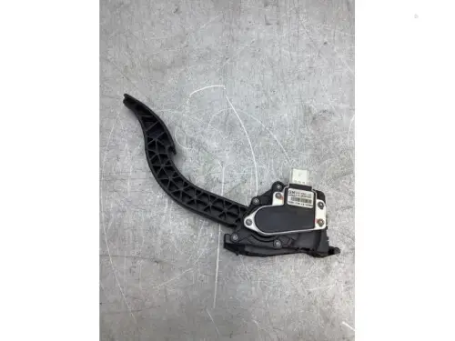 Gaspedaalpositie Sensor-8096926