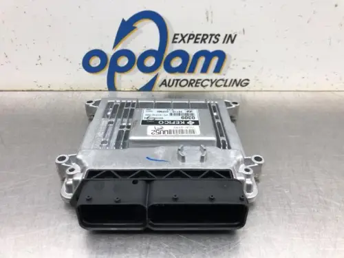 Computer Motormanagement-8128126
