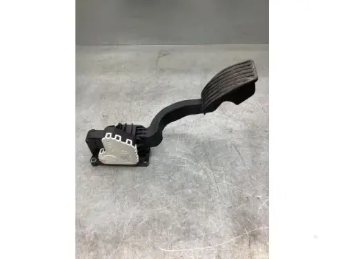 Gaspedaalpositie Sensor-8036519