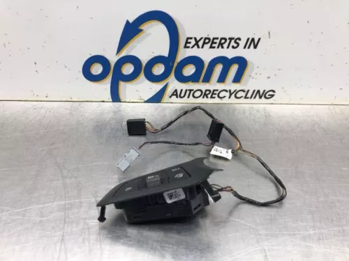 Cruise Control Bediening-8036963