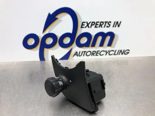 Cruise Control Bediening-8213546