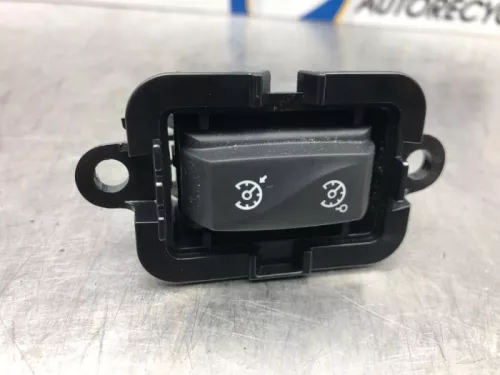 Cruise Control Bediening-7324506