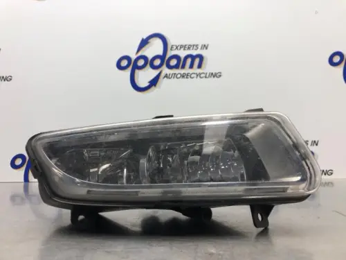 Mistlamp rechts-voor-8123021
