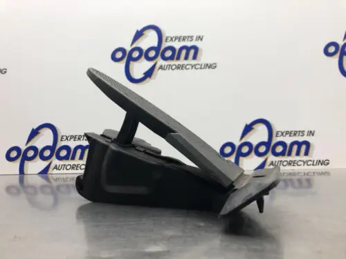 Gaspedaal-8102585