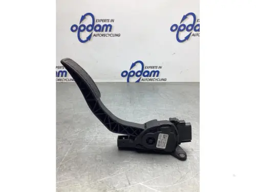 Gaspedaalpositie Sensor-8141869
