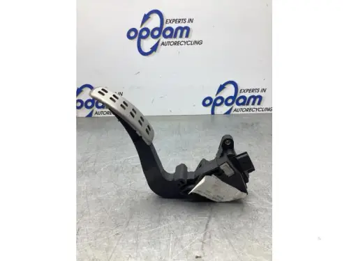 Gaspedaalpositie Sensor-8033487