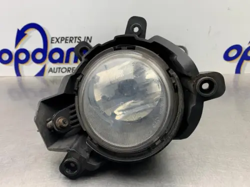 Mistlamp links-voor-8217675