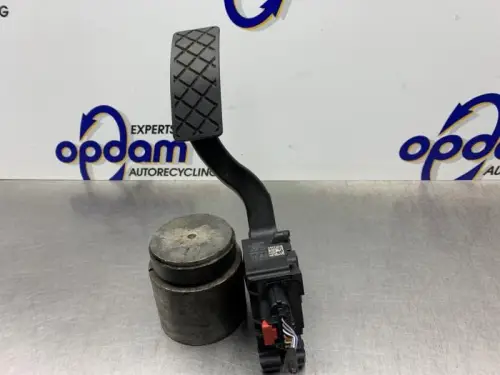 Gaspedaal-8250005