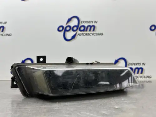 Mistlamp rechts-voor-8221220