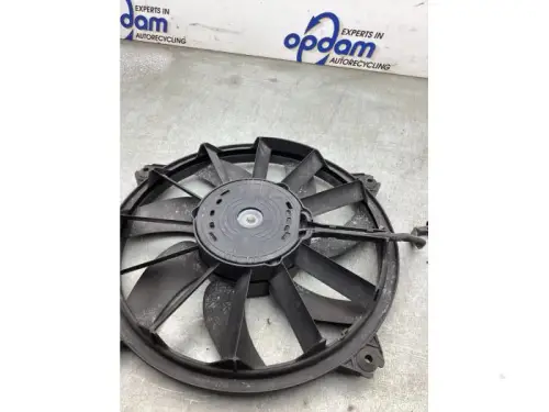 Koelvin-7977487