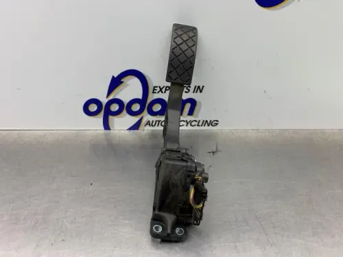 Gaspedaal-8280992