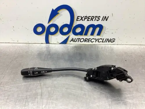 Cruise Control Bediening-8095354