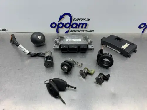 Computer Motormanagement-8150924