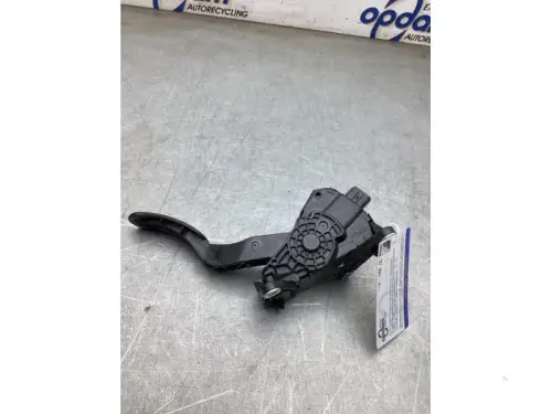 Gaspedaalpositie Sensor-8291803