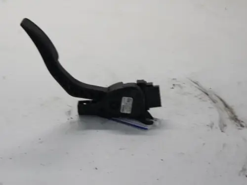 Gaspedaalpositie Sensor-7880634