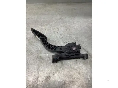 Gaspedaalpositie Sensor-8082925