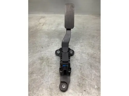 Gaspedaalpositie Sensor-8077815