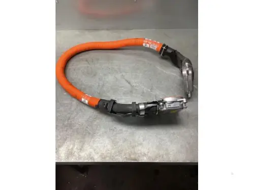HV kabel (hoog voltage)-8095806