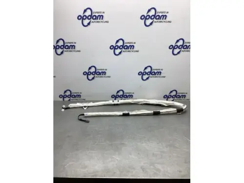 Hemel Airbag-8117442