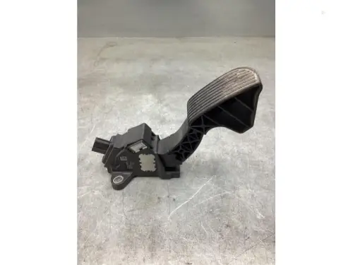 Gaspedaalpositie Sensor-8145433