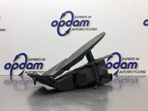 Gaspedaal-8176299