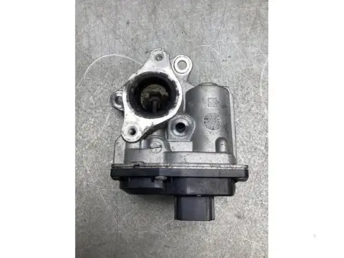 EGR Klep-7858015