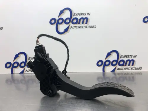 Gaspedaal-8097421