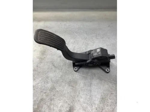 Gaspedaalpositie Sensor-8024932