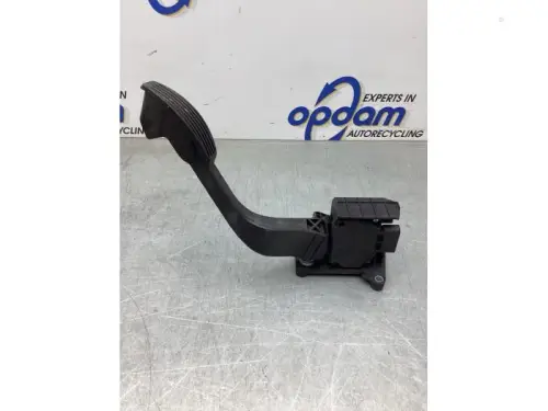 Gaspedaalpositie Sensor-8132532