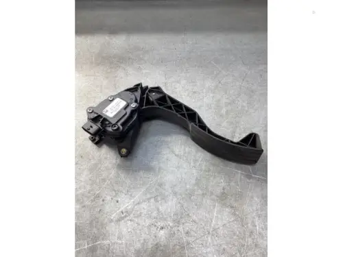 Gaspedaalpositie Sensor-8079124