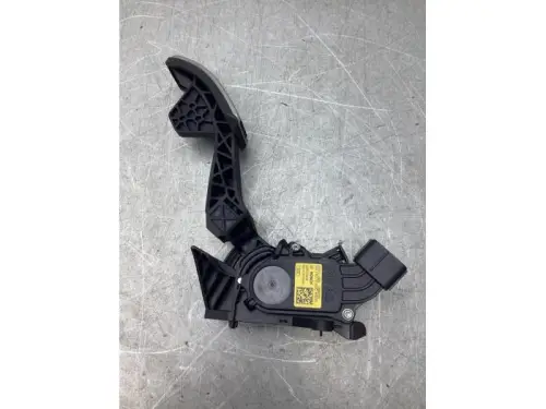 Gaspedaalpositie Sensor-8114314