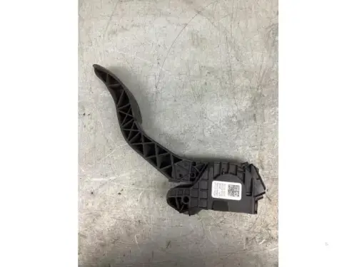 Gaspedaalpositie Sensor-8190690
