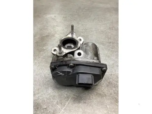 EGR Klep-