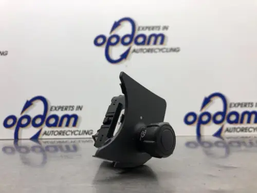 Cruise Control Bediening-8243020