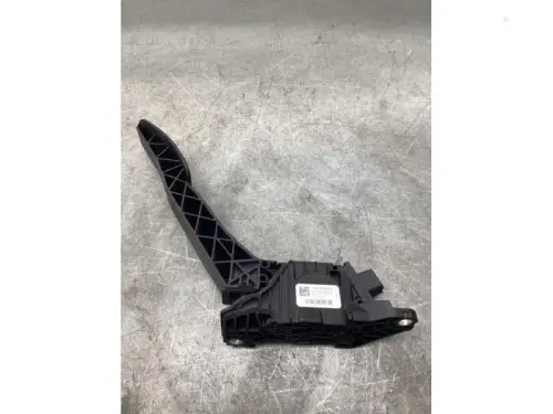 Gaspedaalpositie Sensor-8055220