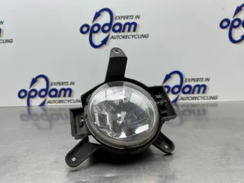 Mistlamp rechts-voor-8277260